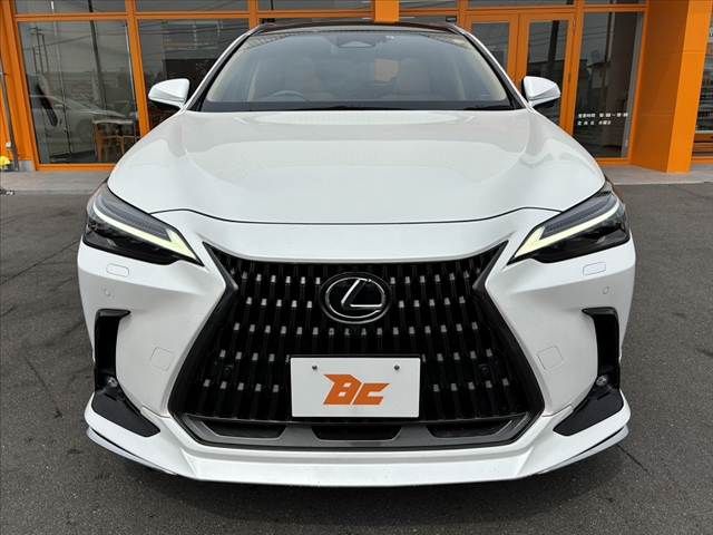 TOYOTA LEXUS NX350H 2023 Image 31