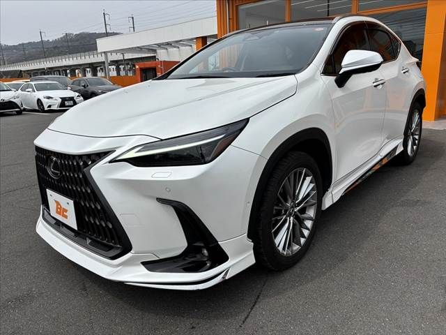 TOYOTA LEXUS NX350H 2023 Image 31