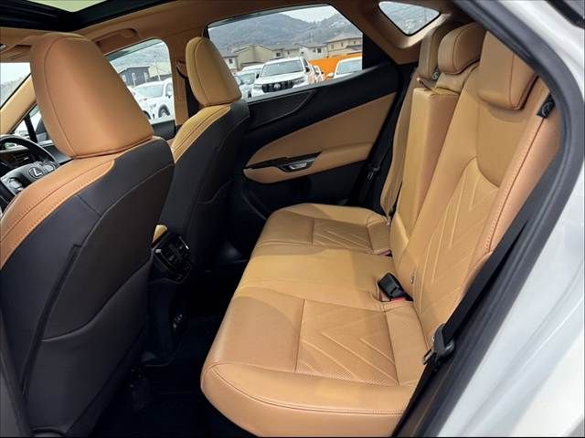 TOYOTA LEXUS NX350H 2023 Image 31