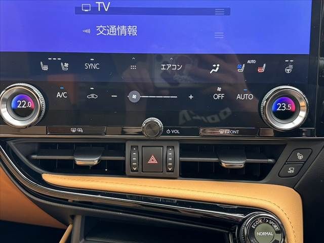 TOYOTA LEXUS NX350H 2023 Image 31