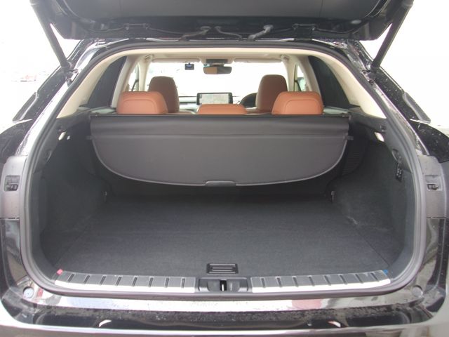 TOYOTA LEXUS RX450H AWD 2021 Image 31