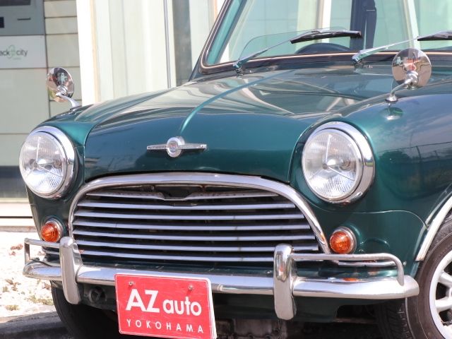 ROVER MINI 1994 Image 31