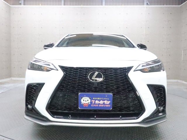 TOYOTA LEXUS NX350 AWD 2024 Image 31