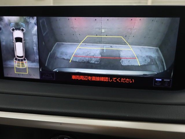 TOYOTA LEXUS RX300 AWD 2020 Image 31