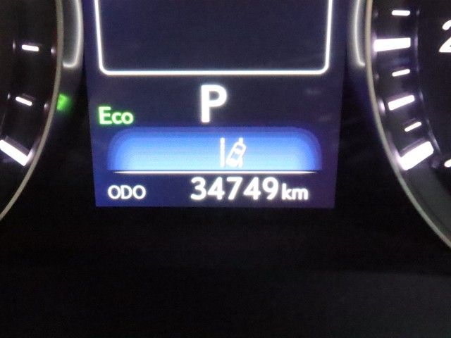 TOYOTA LEXUS RX300 AWD 2020 Image 31