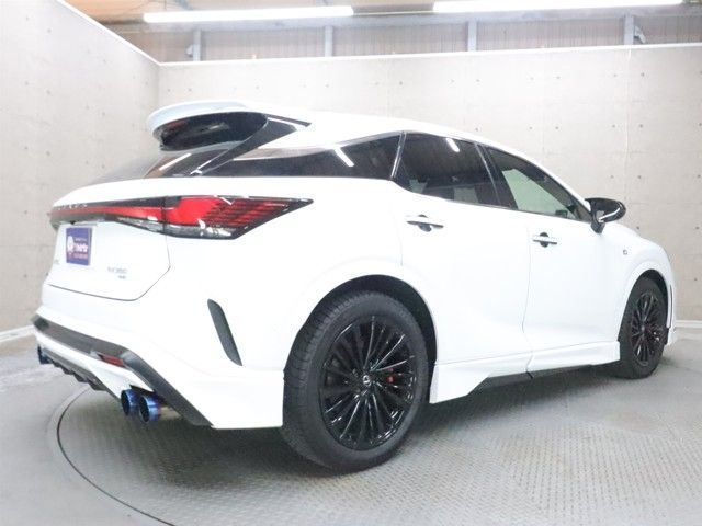 TOYOTA LEXUS RX350 AWD 2024 Image 31