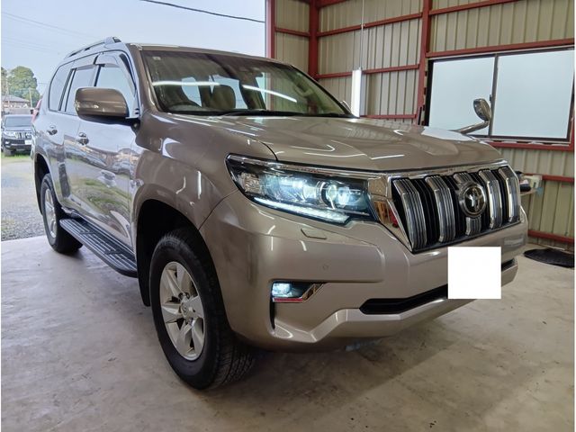 TOYOTA LANDCRUISER PRADO 2019 Image 31