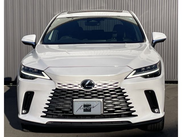 TOYOTA LEXUS RX350H 2024 Image 31