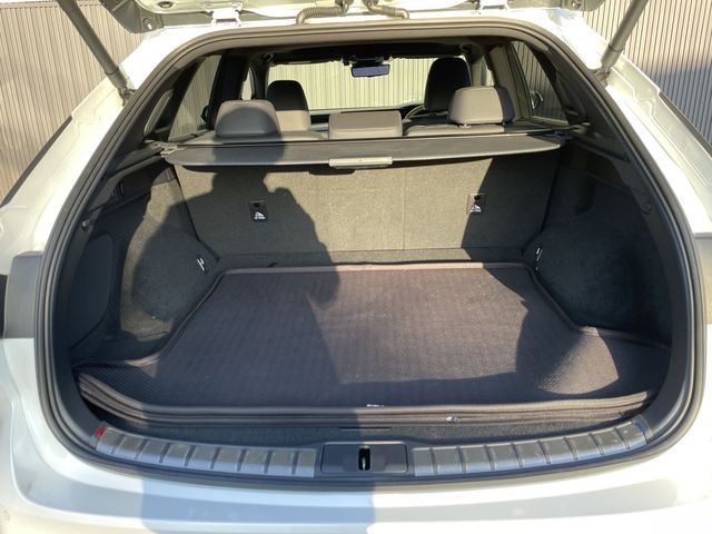 TOYOTA LEXUS RX350H 2024 Image 31