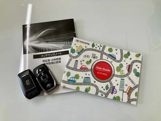 TOYOTA ALPHARD HYBRID 4WD 2023 Image 31