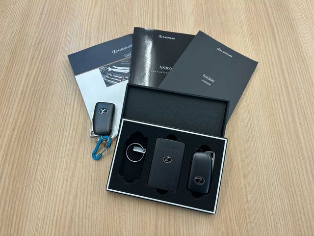 TOYOTA LEXUS NX300 2017 Image 31