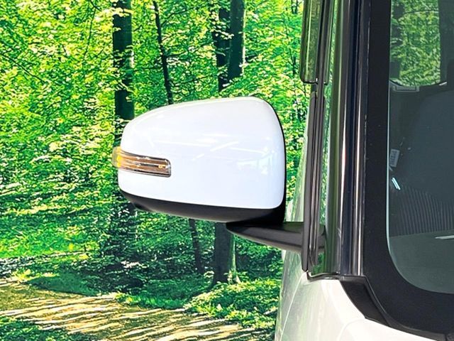 NISSAN DAYZ ROOX 2017 Image 31