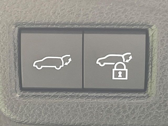 TOYOTA HARRIER HYBRID 2024 Image 31