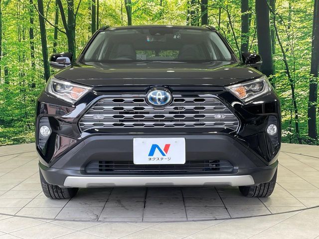 TOYOTA RAV4 HYBRID 4WD 2019 Image 31