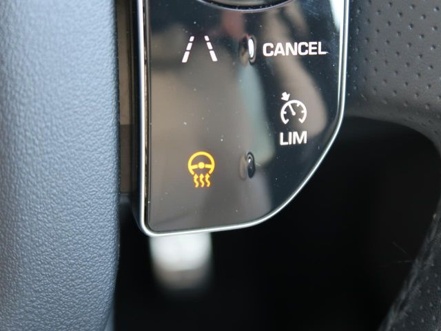 ROVER RANGE  SP 2020 Image 31