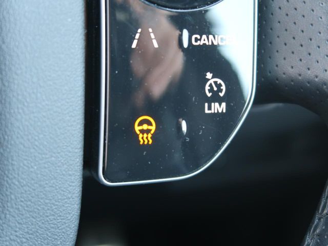 ROVER RANGE  SP 2020 Image 31