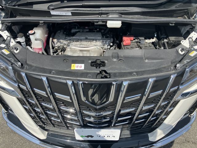 TOYOTA ALPHARD 2023 Image 31