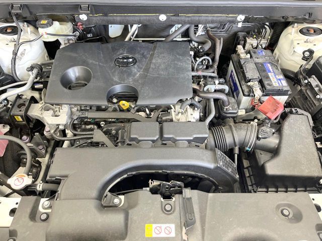 TOYOTA RAV4 2WD 2019 Image 31