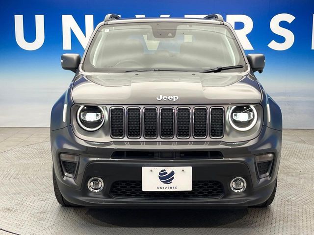 JEEP RENEGADE 2019 Image 31