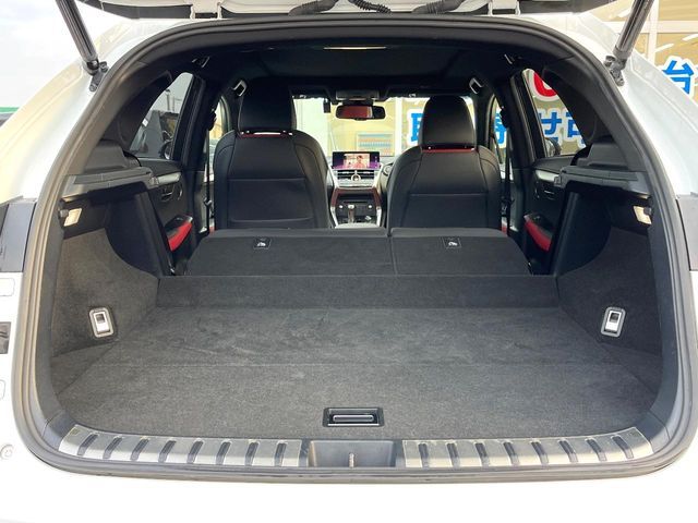 TOYOTA LEXUS NX300 2018 Image 31