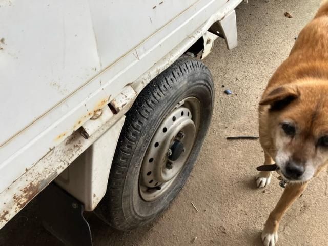 SUZUKI CARRY TRUCK 4WD 2006 Image 31