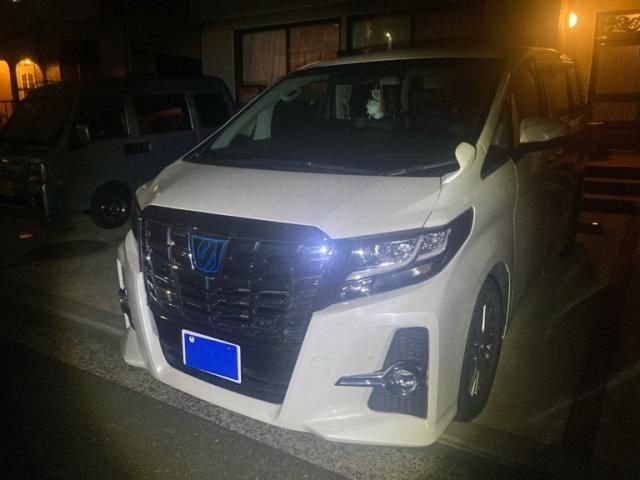 TOYOTA ALPHARD HYBRID 4WD 2016 Image 31