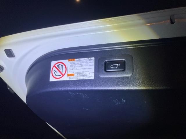 TOYOTA ALPHARD HYBRID 4WD 2016 Image 31