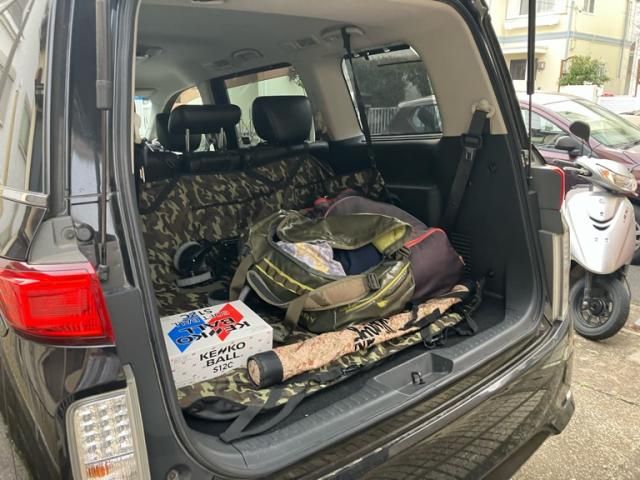 NISSAN ELGRAND 2011 Image 31