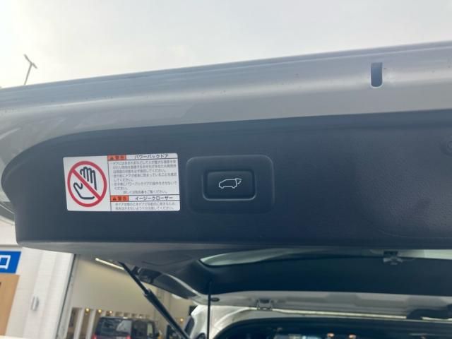 TOYOTA ALPHARD 2021 Image 31