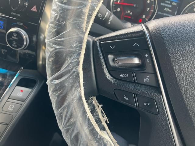 TOYOTA ALPHARD 2021 Image 31