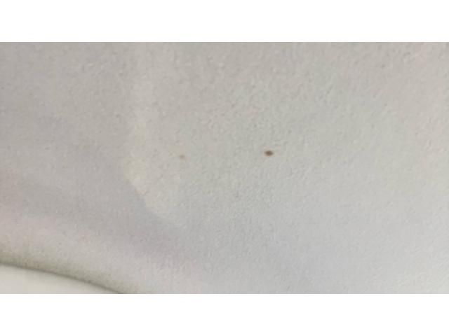 SUZUKI PALETTE SW 2009 Image 31