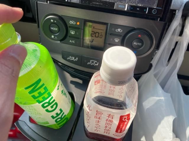 NISSAN LAFESTA 4WD 2010 Image 31