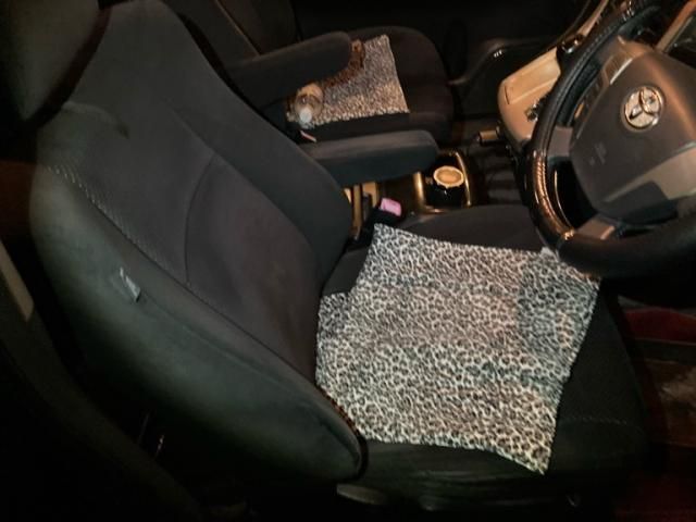 TOYOTA VELLFIRE 2010 Image 31