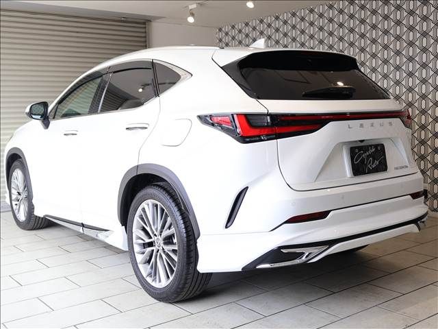 TOYOTA LEXUS NX350H 2023 Image 31