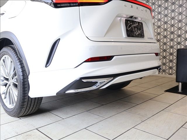 TOYOTA LEXUS NX350H 2023 Image 31