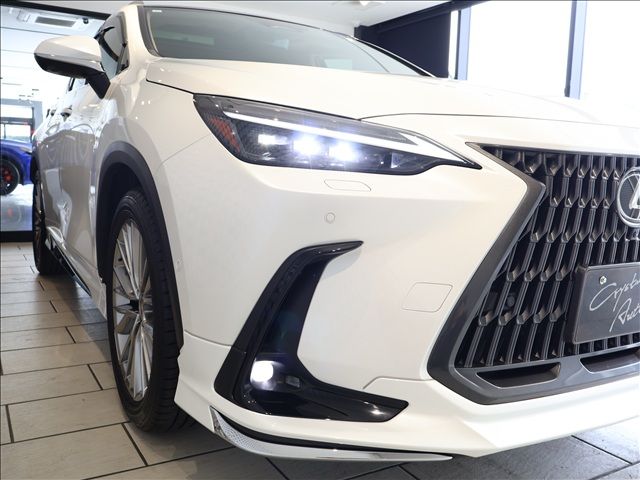 TOYOTA LEXUS NX350H 2023 Image 31