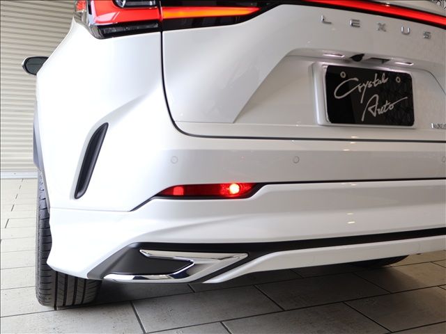 TOYOTA LEXUS NX350H 2023 Image 31