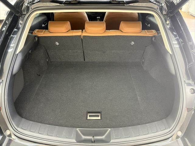 TOYOTA LEXUS UX250H 2018 Image 31