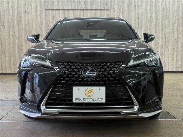 TOYOTA LEXUS UX250H 2018 Image 31