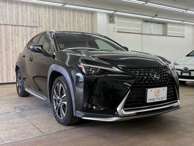TOYOTA LEXUS UX250H 2018 Image 31