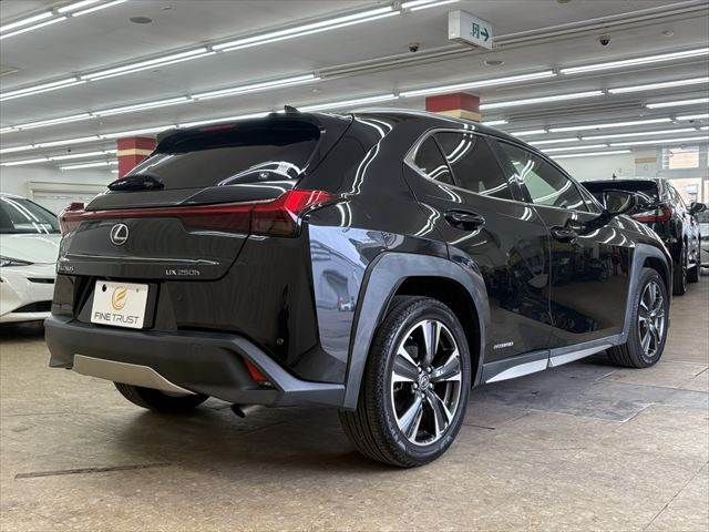 TOYOTA LEXUS UX250H 2018 Image 31