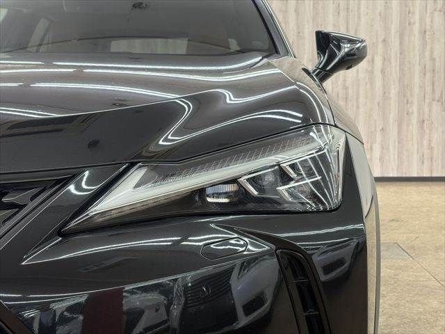 TOYOTA LEXUS UX250H 2018 Image 31