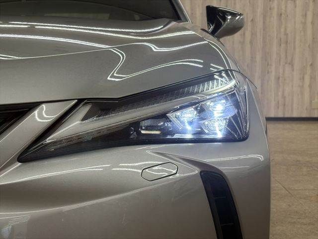 TOYOTA LEXUS UX250H 2021 Image 31