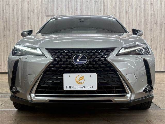 TOYOTA LEXUS UX250H 2021 Image 31