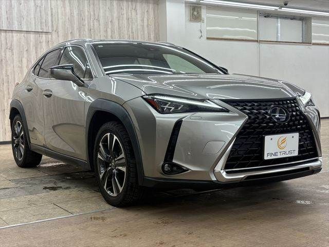 TOYOTA LEXUS UX250H 2021 Image 31