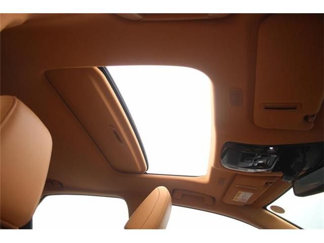 TOYOTA LEXUS NX350H AWD 2023 Image 31