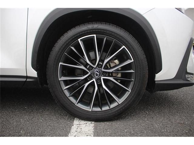 TOYOTA LEXUS NX350H AWD 2023 Image 31