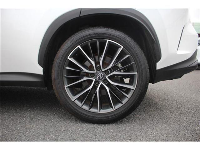 TOYOTA LEXUS NX350H AWD 2023 Image 31