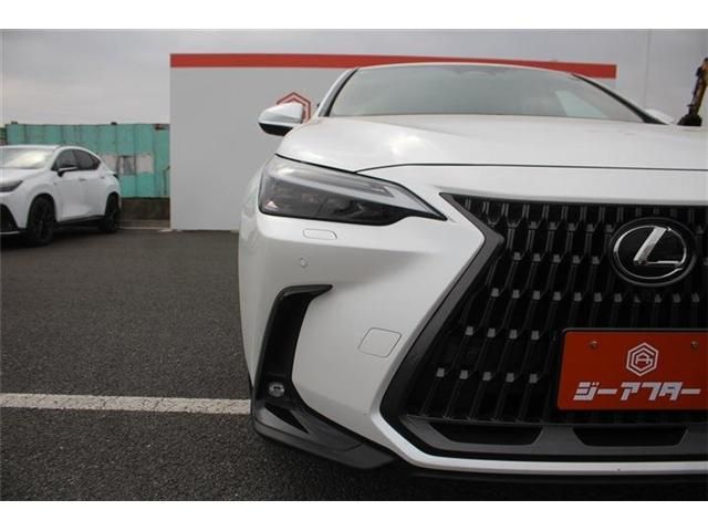 TOYOTA LEXUS NX350H AWD 2023 Image 31