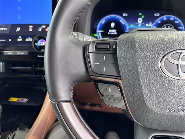 TOYOTA VELLFIRE 4WD 2024 Image 31